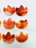 27x30 mm Spiny Oyster Shell Sealife Carving Cabs • Pack of 1 Pc • AAA Quality • Dark Orange/ Light Orange/ Red Color