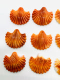 27x30 mm Spiny Oyster Shell Sealife Carving Cabs • Pack of 1 Pc • AAA Quality • Dark Orange/ Light Orange/ Red Color