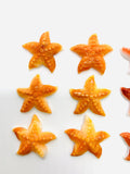 25x25 mm Spiny Oyster Shell Starfish Sealife Carving Cabs • Pack of 1 Pc • AAA Quality • Orange / Red Color