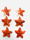 25x25 mm Spiny Oyster Shell Starfish Sealife Carving Cabs • Pack of 1 Pc • AAA Quality • Orange / Red Color