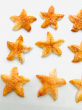 35X35 mm Spiny Oyster Shell Starfish Sealife Carving • Pack of 1 Pc • AAA Quality • Natural Spiny Oyster Shell