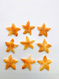 35X35 mm Spiny Oyster Shell Starfish Sealife Carving • Pack of 1 Pc • AAA Quality • Natural Spiny Oyster Shell