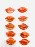 15X223 mm Spiny Oyster Shell Sealife Carving Cabs • Pack of 1 Pc • AAA Quality • Natural Spiny Oyster Shell Cabochon • Orange/ Red Color