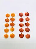 10x11 mm Spiny Oyster Shell Sealife Carving Cabs • ( Straight Full Drill ) • AAA Quality • Natural Spiny Oyster Orange/ Red Color
