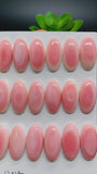Queen Conch Shell Oval Cabs • 10x20 mm Size • Pack of 2 Pcs • AAA Quality • Flat Back • Queen Conch Cabochons