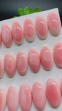 Queen Conch Shell Oval Cabs • 10x20 mm Size • Pack of 2 Pcs • AAA Quality • Flat Back • Queen Conch Cabochons