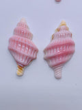 Queen Conch Shell Carving Sealife • 18x35 mm Size • Pack of 1 Pair • AAA Quality • Flat Back • (#121059)