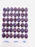 10x14 mm Wampum Quahog Shell Marquise Cabs • Pack of 2 Pcs • AAA Quality • Natural Wampum Shell Cabochon • Flat Back