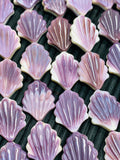 Wampum Quahog Shell Fancy Beads • 12x15 mm Size • Both Side Carving • 40 cm length • AAA Quality • Purple Color