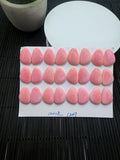 Queen Conch Shell Fancy Cabs • 18x12 mm Size • Pack of 2 Pcs • AAA Quality • Flat Back • Queen Conch Cabochons