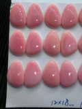 Queen Conch Shell Fancy Cabs • 18x12 mm Size • Pack of 2 Pcs • AAA Quality • Flat Back • Queen Conch Cabochons