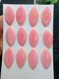 Queen Conch Shell Marquise Cabs • 40x20 mm Size • Pack of 1 Pc • AAA Quality • Flat Back • Queen Conch Cabochons