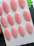 Queen Conch Shell Marquise Cabs • 40x20 mm Size • Pack of 1 Pc • AAA Quality • Flat Back • Queen Conch Cabochons