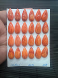 Spiny Oyster Shell Pear Cabs • 10x20 mm Size • Pack of 2 Piece • AAA Quality • Natural Shell Cabochon • Orange Color