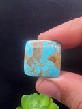 Turquoise Cabochon • Code M25- M32 • AAA Quality • Natural Turquoise Cabs • Turquoise Loose Stone