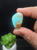 Turquoise Cabochon • Code M57- M64 • AAA Quality • Natural Turquoise Cabs • Turquoise Loose Stone