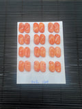 Spiny Oyster Shell Fancy Cabs • 9x17 mm Size • Pack of 2 Piece • AAA Quality • Natural Shell Cabochon • Orange Color