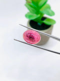 Pink Tourmaline Oval 11.5x15.5 mm Cabochon - Code D12 - Origin Congo mines - Weight 11.88 carats - Natural Tourmaline Cabs