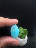 Turquoise Cabochon • Code M1- M8 • AAA Quality • Natural Turquoise Cabs • Turquoise Loose Stone