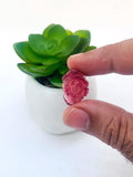 Pink tourmaline Carving - Code #12-17 - Size ---mm - Weight -- Natural Pink Opal Loose Piece - Pink Opal Pendant