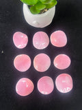 Queen Conch Shell 28-33 MM Fancy Cabs • Pack of 2 Pcs • AAA Quality • Flat Back • Queen Conch Cabochons