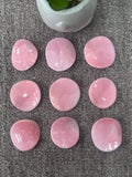 Queen Conch Shell 28-33 MM Fancy Cabs • Pack of 2 Pcs • AAA Quality • Flat Back • Queen Conch Cabochons