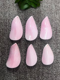 20x35mm Queen Conch Shell Chip Loose Piece • Pack of 1 Pc • AAA Quality • Queen Conch Cabochons