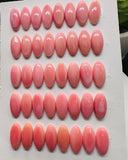 8x16 mm Queen Conch Shell Oval Cabs • Pack of 4 Pcs • Flat Back • AAA Quality • Queen Conch Cabochons