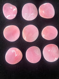 Queen Conch Shell 28-33 MM Fancy Cabs • Pack of 2 Pcs • AAA Quality • Flat Back • Queen Conch Cabochons