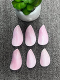 20x35mm Queen Conch Shell Chip Loose Piece • Pack of 1 Pc • AAA Quality • Queen Conch Cabochons