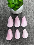 20x35mm Queen Conch Shell Chip Loose Piece • Pack of 1 Pc • AAA Quality • Queen Conch Cabochons