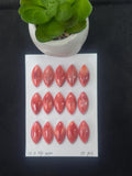 12x24 mm Spiny Oyster Shell Marquise Cabs • Pack of 2 Pcs • AAA Quality • Natural Shell Cabochon • Orange/ Red Color