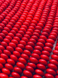 Coral Rondel 10mm beads - Length 40 cm - Dyed Color Coral Roundel beads