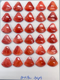 Spiny Oyster Shell Fancy Cabs • 13x12 mm Size • Pack of 2 Piece • AAA Quality • Natural Shell Cabochon •
