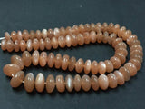 Peach Moonstone 8-13 mm Peach Moonstone Smooth Rondelle shape , Top Quality Beads- Dark Color Peach Moonstone Beads- 15 Inch