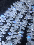 Rainbow Moonstone Faceted Marquis Beads 8X14 MM , Length of Strand is 8" Natural Moonstone with Blue Flash and Transparent quality.