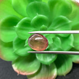 Tourmaline Cabochon , Size 10x13 MM , weight 6.5 carat .Pink Tourmaline gemstone loose cabs, code #T 35 Pink Tourmaline cabs