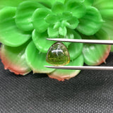 Tourmaline Cabochon , Size 12x12 MM , weight 7 carat ,Green Tourmaline gemstone loose cabs, code #T 50 Green Tourmaline cabs