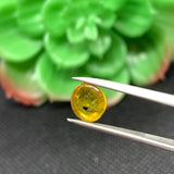 Tourmaline Cabochon , Size 8 MM , weight 2.5 carat ,Green Tourmaline gemstone loose cabs, code #T 55 Green Tourmaline cabs
