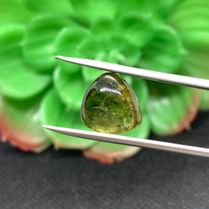 Tourmaline Cabochon , Size 12x12 MM , weight 7 carat ,Green Tourmaline gemstone loose cabs, code #T 50 Green Tourmaline cabs