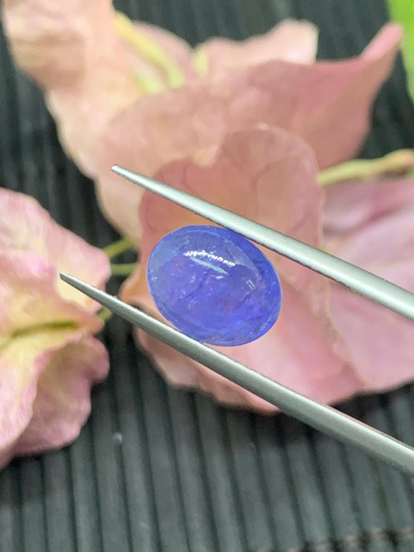 8x10 mm Tanzanite Cabochon Oval Calibrated Size Code #T179 AAA Quality Natural Tanzanite Cabochon- Tanzanite Loose Stone