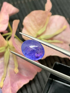 8x10 mm Tanzanite Cabochon Oval Calibrated Size Code #T111A Weight 4 carat -4A Quality Natural Tanzanite Cabs