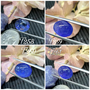 12x10 mm Tanzanite Oval Cabochon Code #T258-T261  -AAA Quality Natural Tanzanite Cabochon