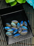 Labradorite Cabochon 6x12-13 mm - Pack of 5 Pieces - Code #A23 - Blue Color AAA Quality - Natural Labradorite Cabs - Labradorite Stone