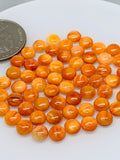 Spiny Shell Cabochon • 6 mm Size • Pack of 4 Piece • AAA Quality • Natural Shell Cabs • Spiny Orange Shell