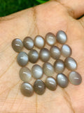 Moonstone Cabochon 7x9 mm • Pack of 8 Pc • AAA Quality • Grey Moonstone Oval Cabochon  • Perfect for Jewelry Making