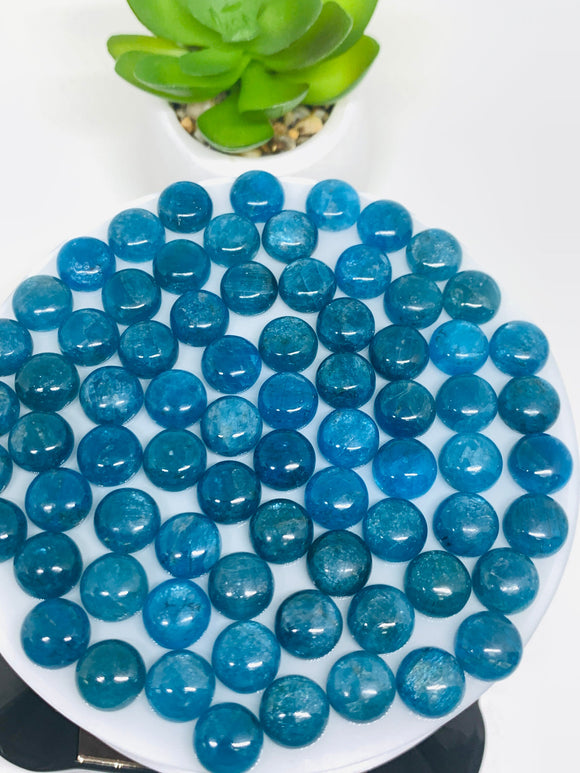 Apatite Cabochon 10 mm Size • Pack of 2 Pcs • Code N6 • AAA Quality • Natural Neon Apatite Round Cabochons