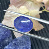 Tanzanite Cabochon Code #T329- T332 • 14X11 mm Size • 9.5 ct/ pc Approx Weight • AAA Quality Natural Tanzanite Cabochon