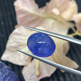 Tanzanite Cabochon Code #T337- T340 • 9X11 mm Size • 5.29 ct/ pc Approx Weight • AAA Quality Natural Tanzanite Cabochon