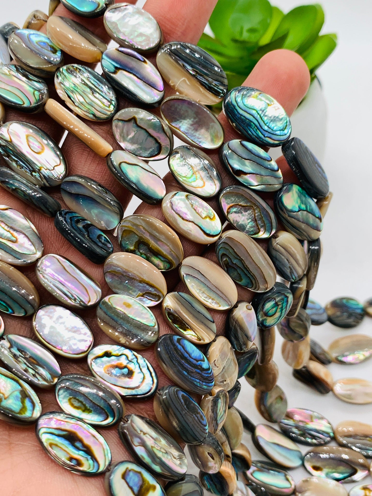 Abalone Shell Oval Beads • 8x12 mm Size • 40 cm length • AAA